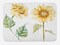 Ambesonne Watercolor Bath Mat, Alluring Sunflowers Summer Inspired Design Agriculture, Plush Bathroom Decor Mat with Non Slip Backing, 29.5" X 17.5", Yellow Green